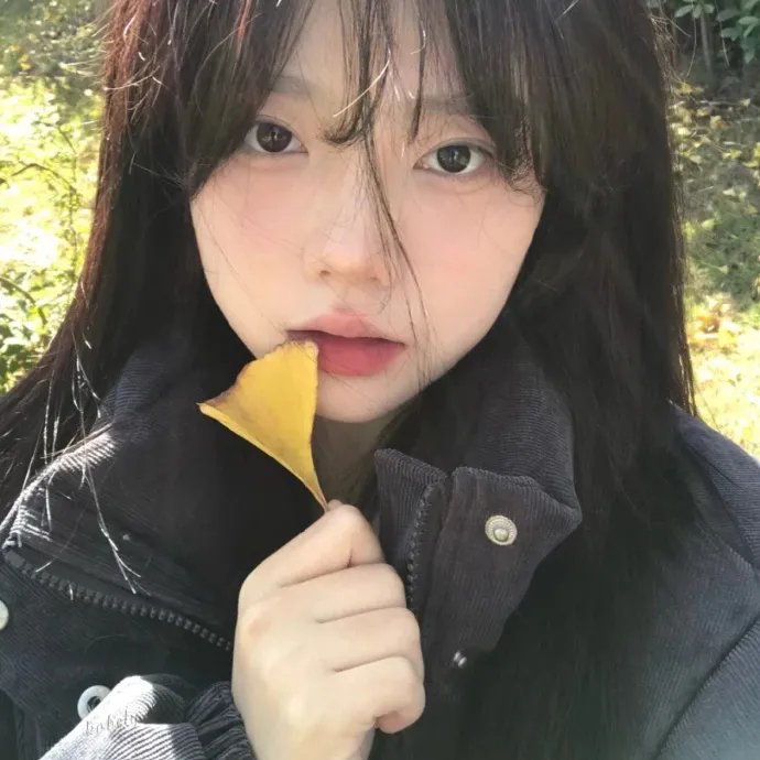 圣母经