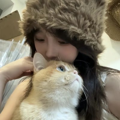 宫崎骏与苍鹭